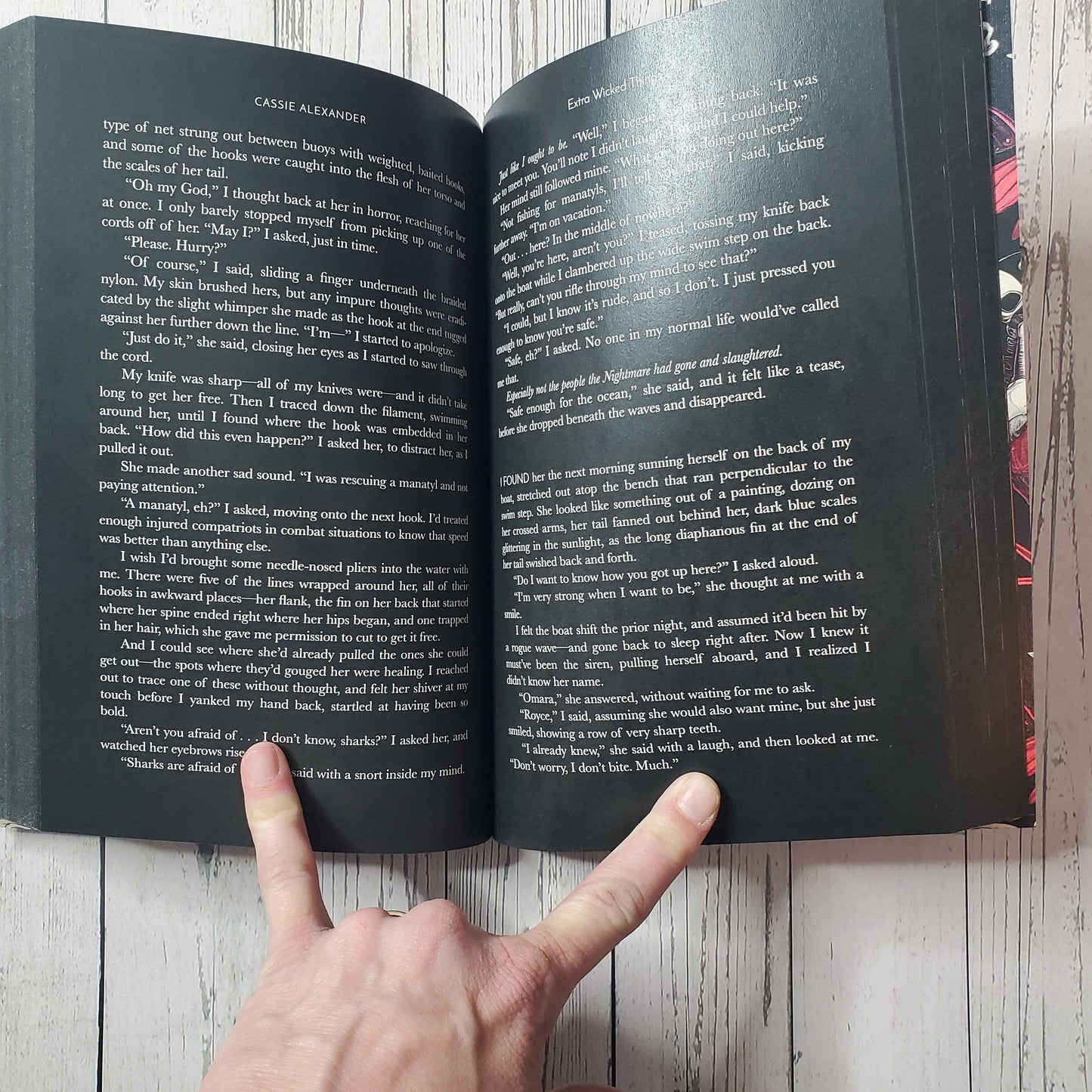 Cassie Alexander Extra Wicked Things Deluxe Version w/All Black Pages & 30 Illustrations