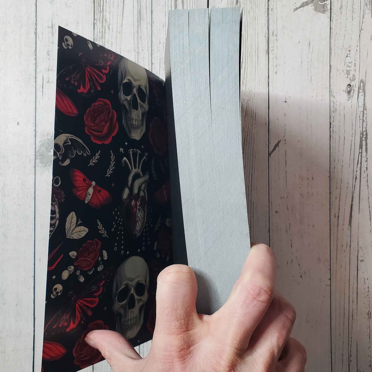 Cassie Alexander Extra Wicked Things Deluxe Version w/All Black Pages & 30 Illustrations