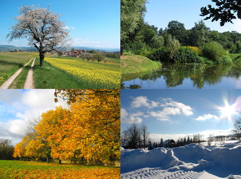 ☕ Seasonal Coffee Popularity by Season