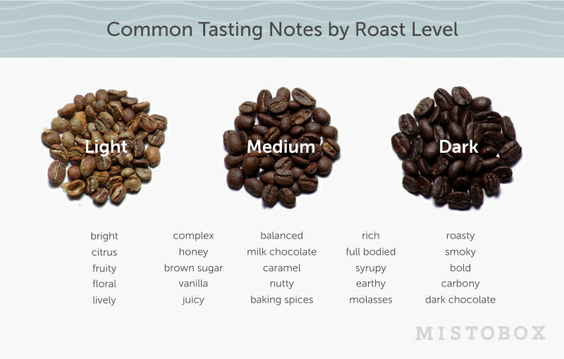 A Beginner’s Guide to Coffee Tasting Notes: Discovering the Flavors in Your Cup