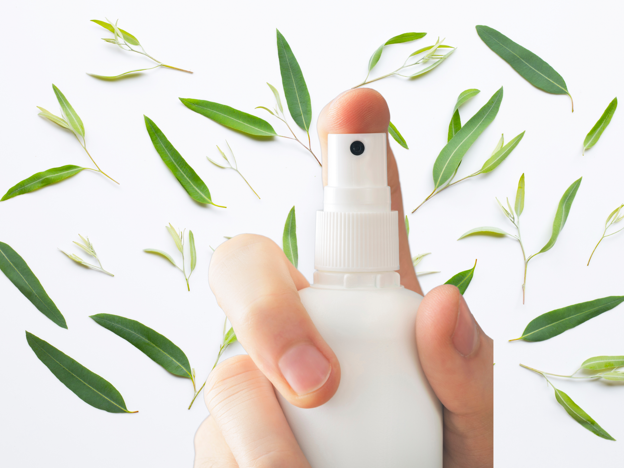 Fresh & Clean Room and Linen Spray Collection – Crisp, Light, and Uplifting Scents