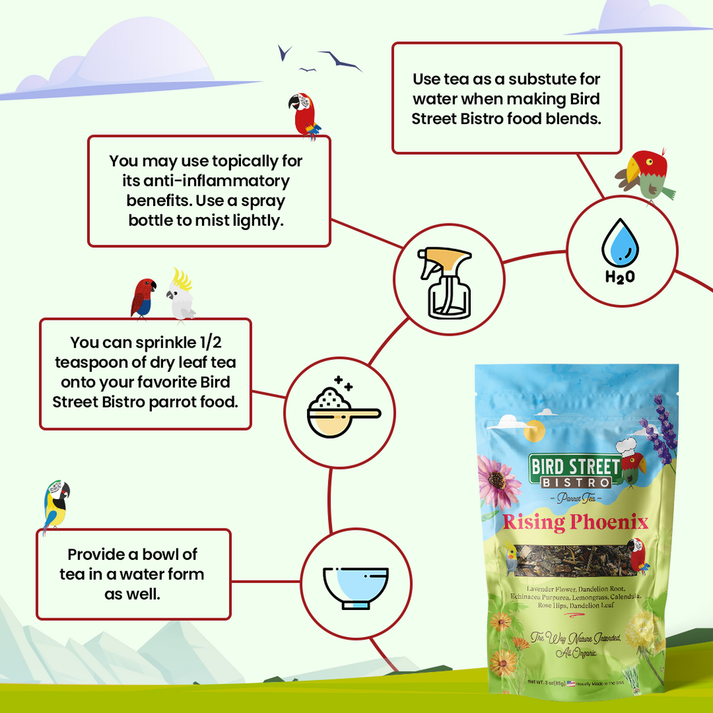 Rising Phoenix Parrot Tea