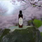 Japanese Cherry Blossom