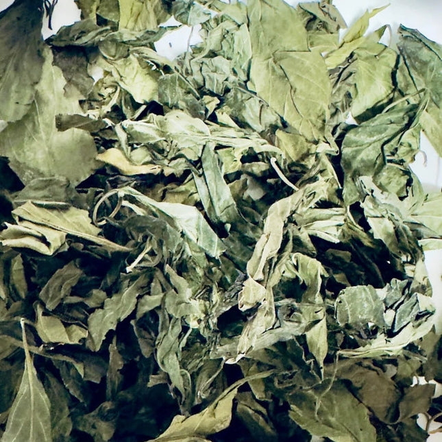 St. John's Bush | Blood-Building, Circulation & Energy Support