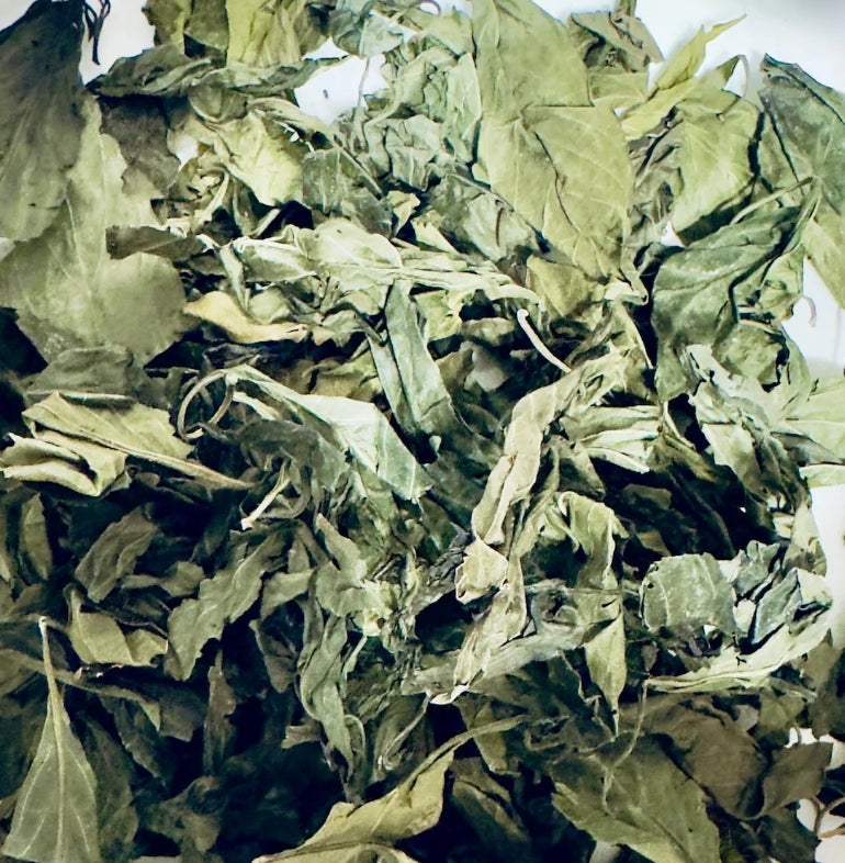 St. John's Bush | Blood-Building, Circulation & Energy Support