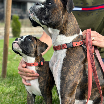 Celtic Sport Leather Collar and Leash Set
