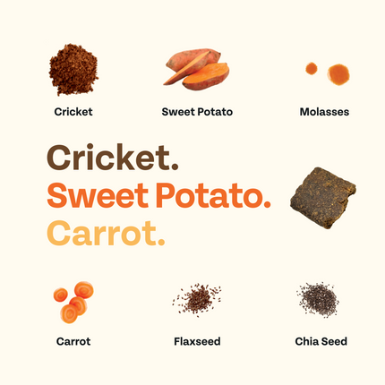 Cricket & Sweet Potato Jerky Dog Treats, 4-Pack