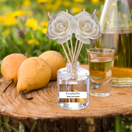 Nature & Earth Reed Diffuser Collection – Forest-Inspired Aromas with Earthy Greens, Woods & Misty Air