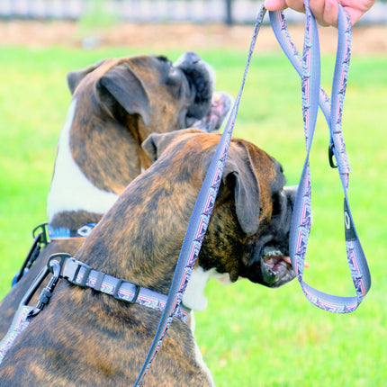 Outdoor Style Collar and Leash SET