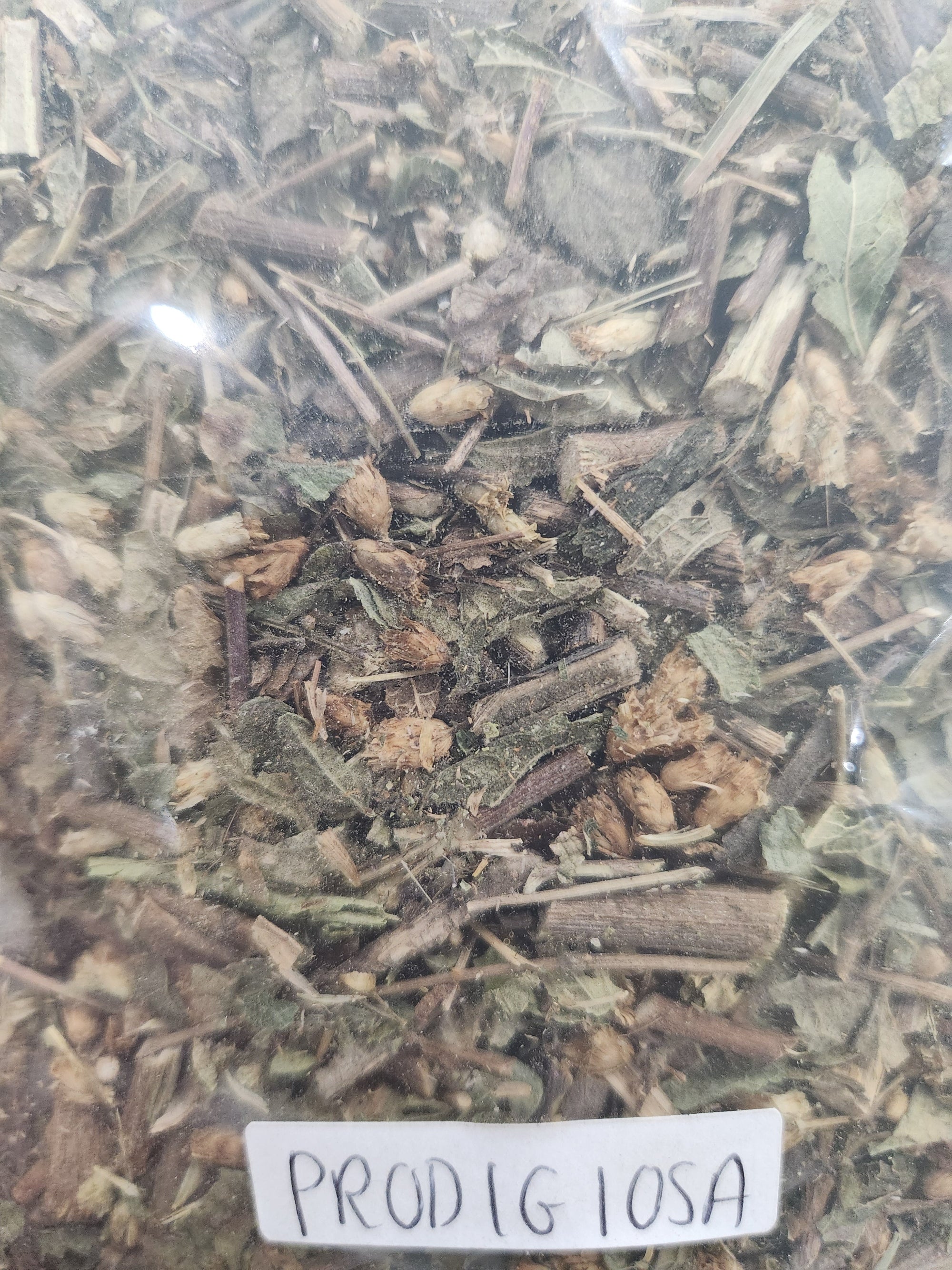 Dream Herb (Prodigiosa) | Lucid Dreaming & Mental Clarity