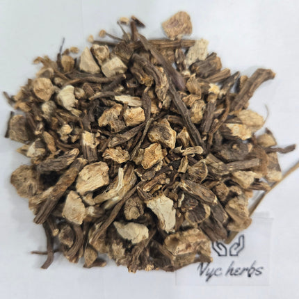 Angelica Root | Digestive Harmony & Circulation Support