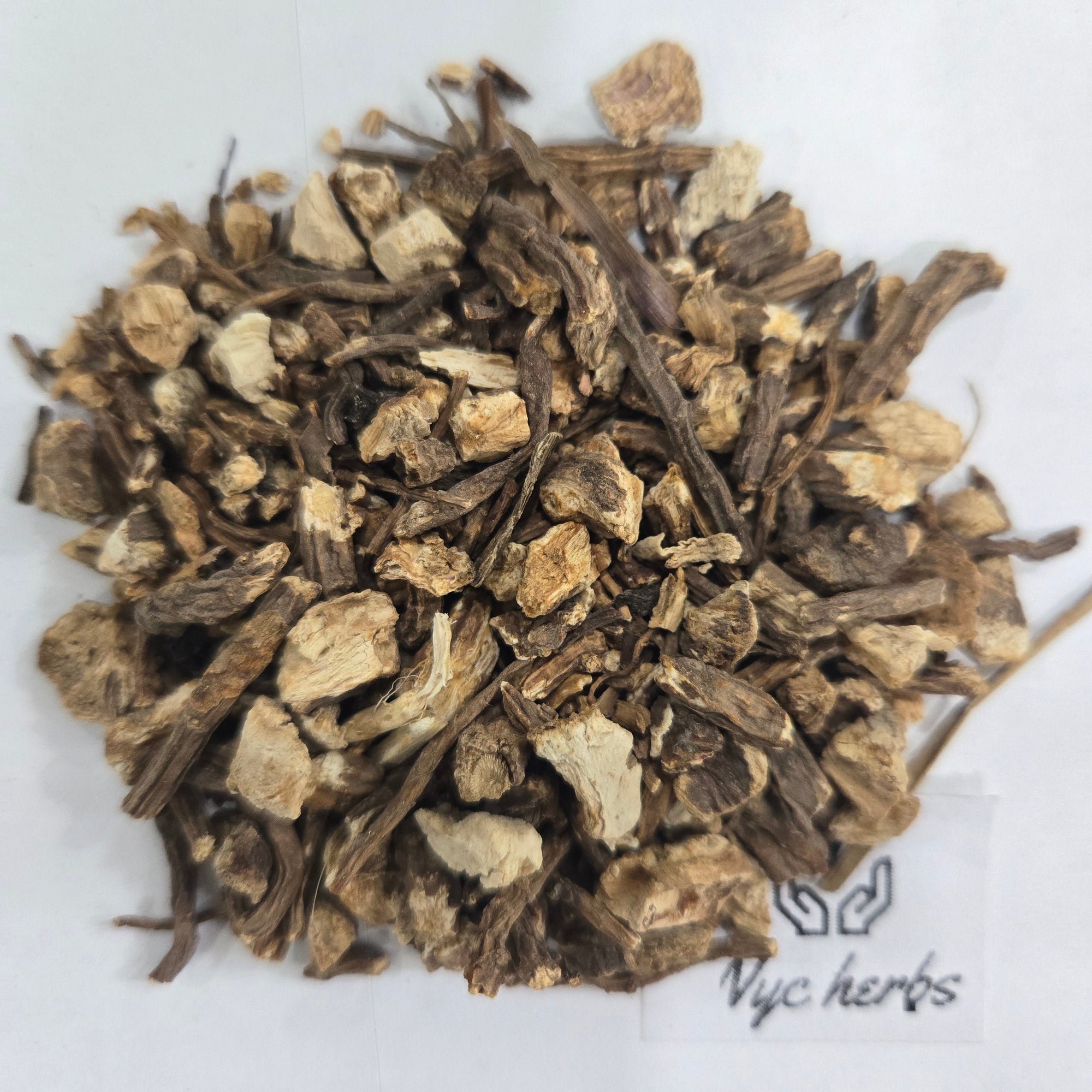 Angelica Root | Digestive Harmony & Circulation Support