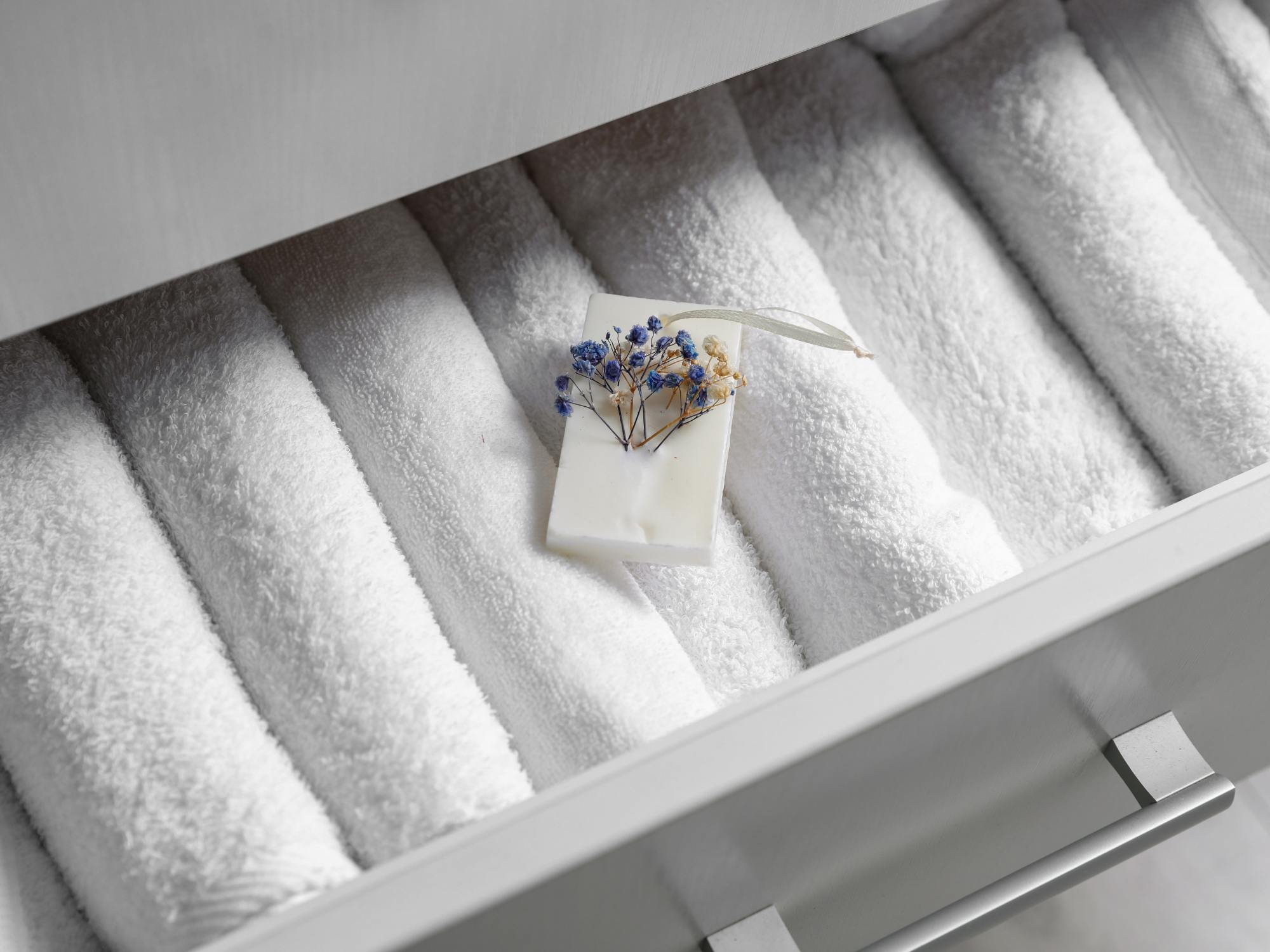 Holiday Special Botanica Wax sachet – Limited Edition Scents for the Festive Season