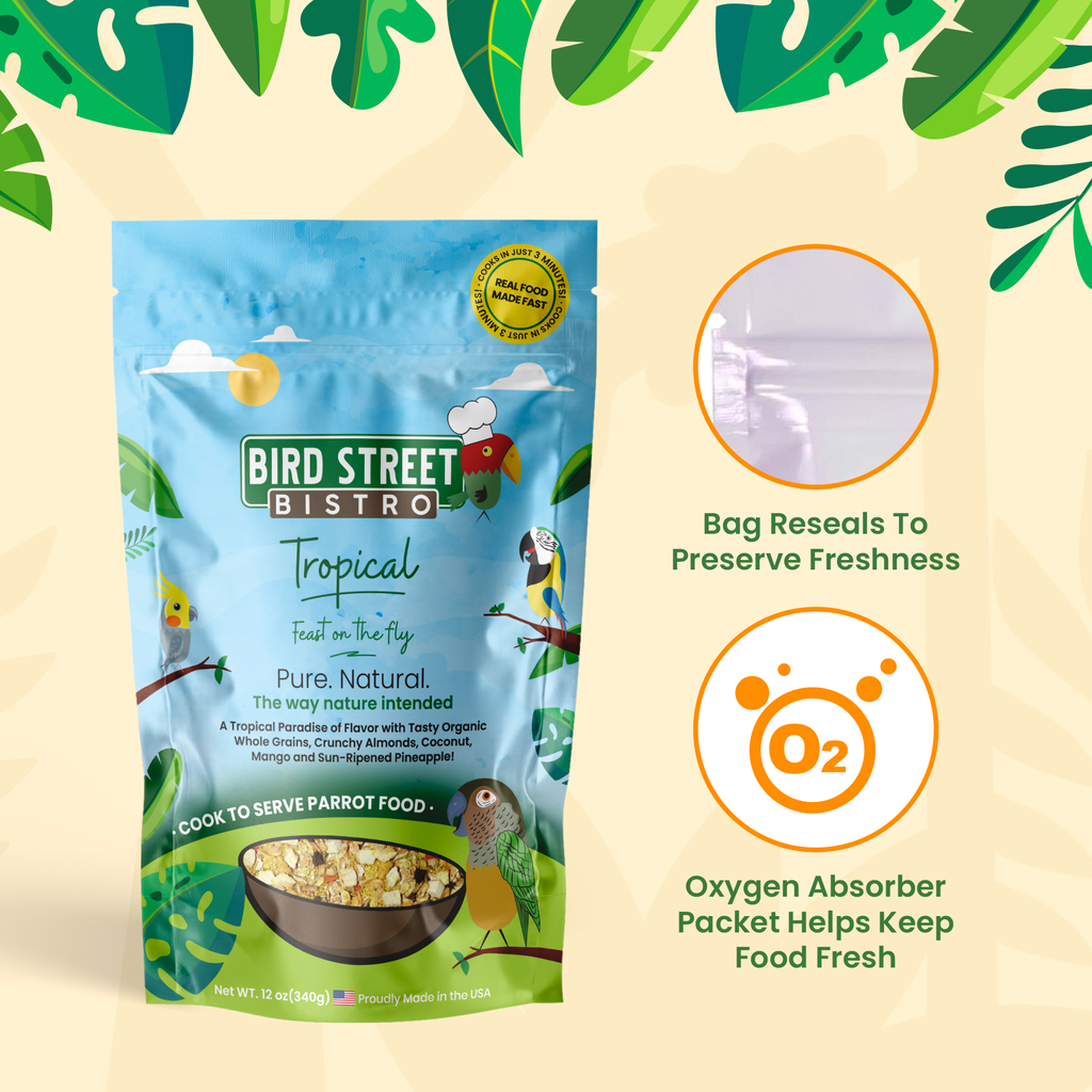 Tropical - Feast on the Fly