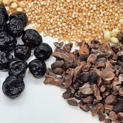 NEW Dark Chocolate Alegria Bites w/ Blueberries + Cacao Nibs