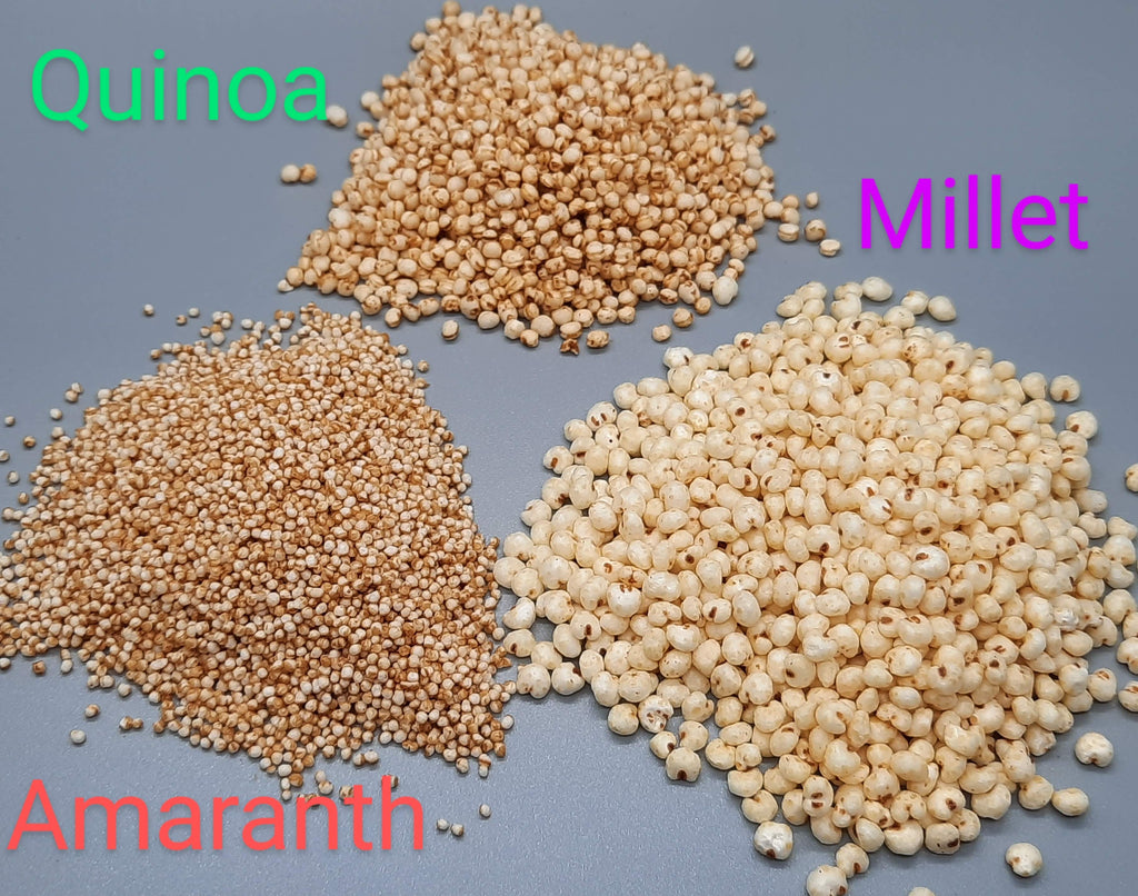 NEW Extra Dark Chocolate Alegria Bites w/ Cranberries + Cashews