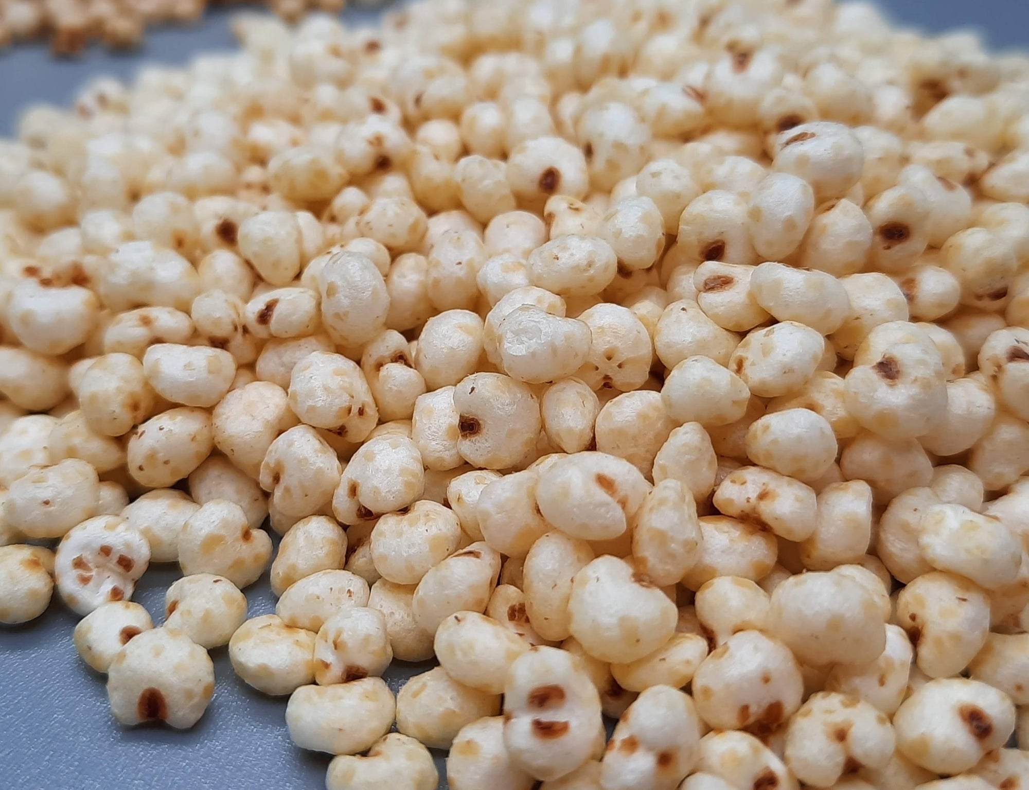 NEW White Chocolate Alegria Bites