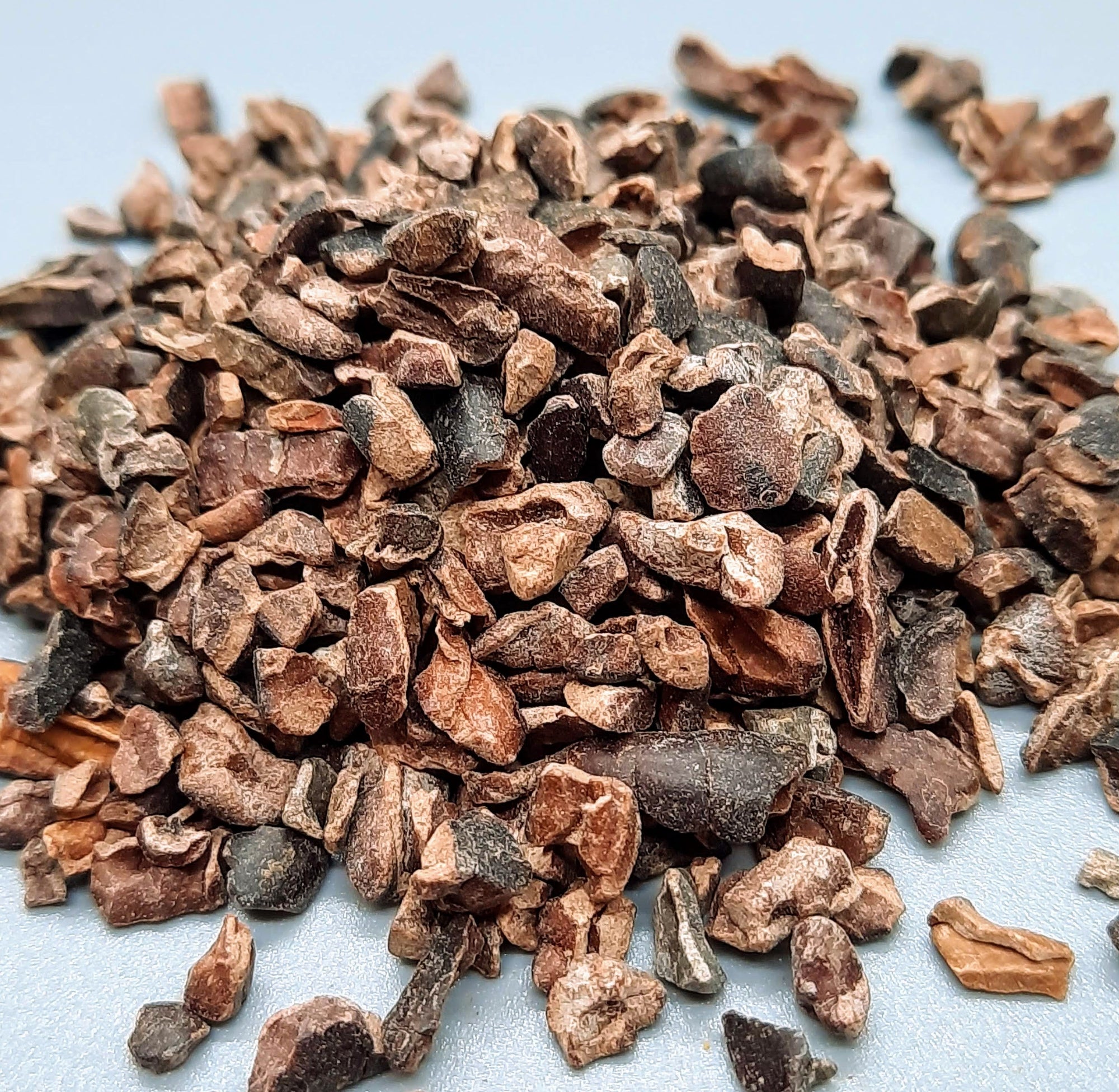 NEW Dark Chocolate Alegria Bites w/ Blueberries + Cacao Nibs