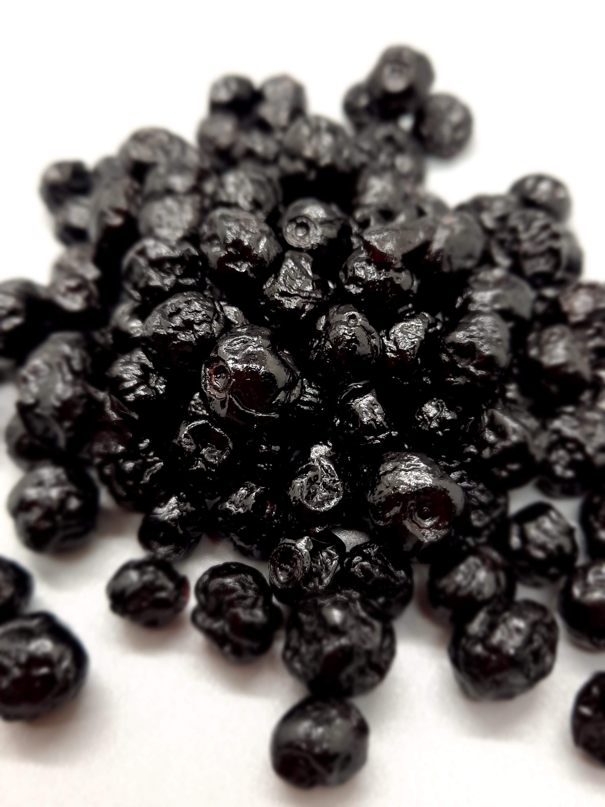 NEW Dark Chocolate Alegria Bites w/ Blueberries + Cacao Nibs