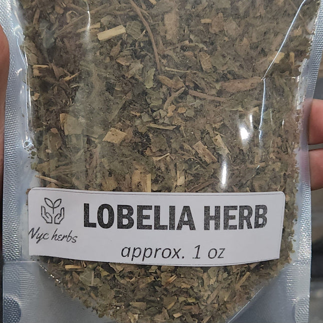 Lobelia Herb | Respiratory Relief & Asthma Support