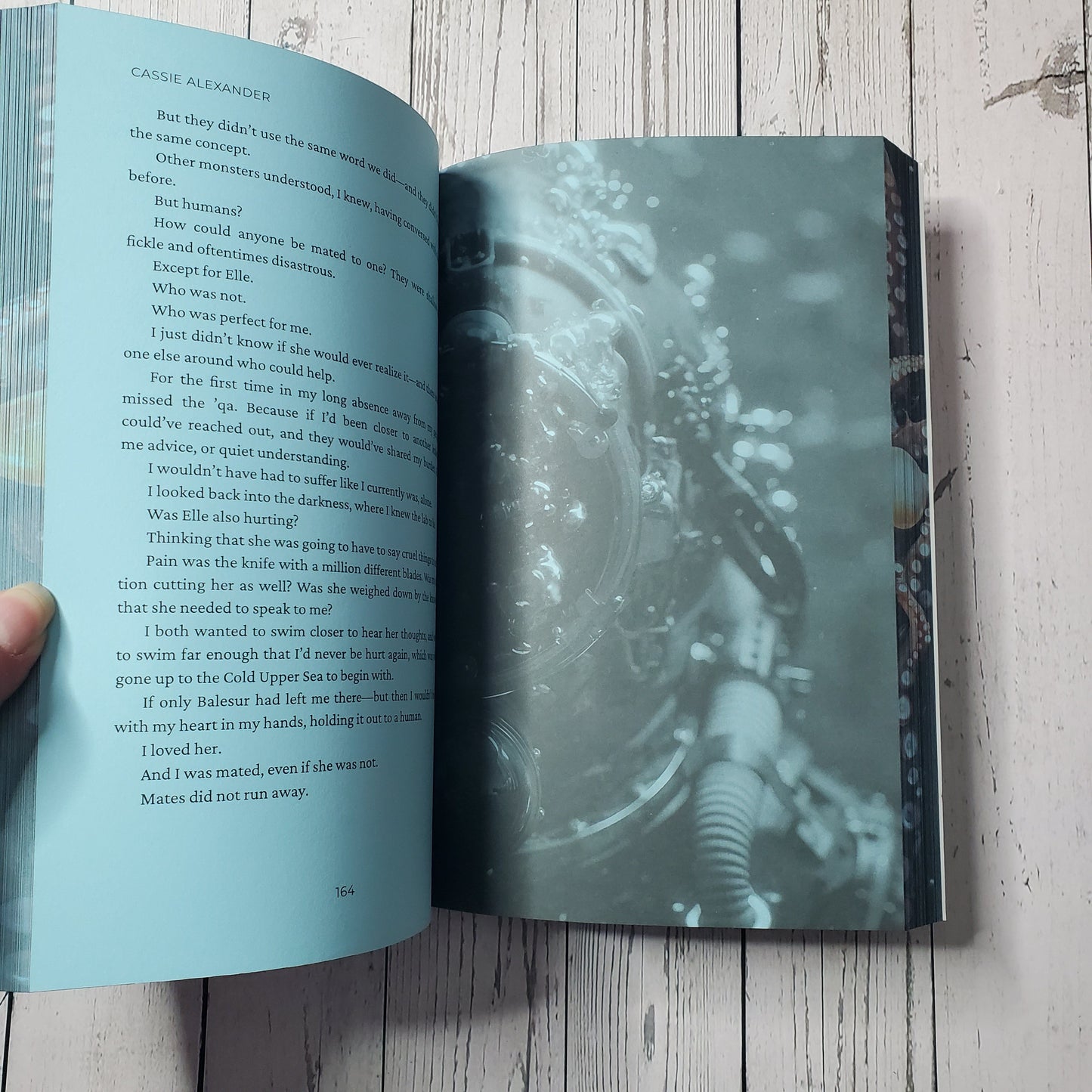 Cassie Alexander Guarded by the Kraken (Special Edition Paperback)