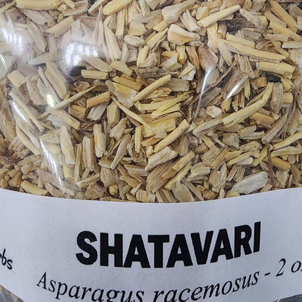 Shatavari | Women's Hormonal Balance & Reproductive Tonic