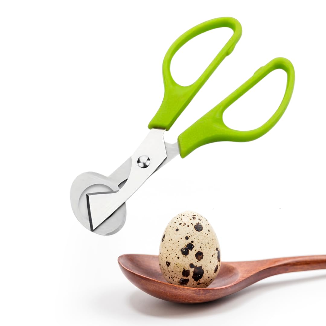 Fresh Quail Eggs Laid in the US