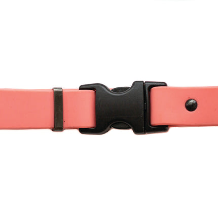 Waterproof Coral Reef Super Soft PVC Dog Collar