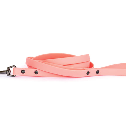 Waterproof Collar and Leash Set