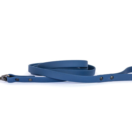Waterproof Collar and Leash Set