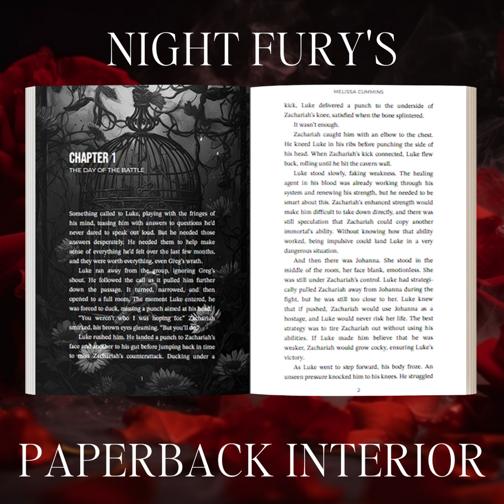 Melissa Cummins Night Fury Paperback
