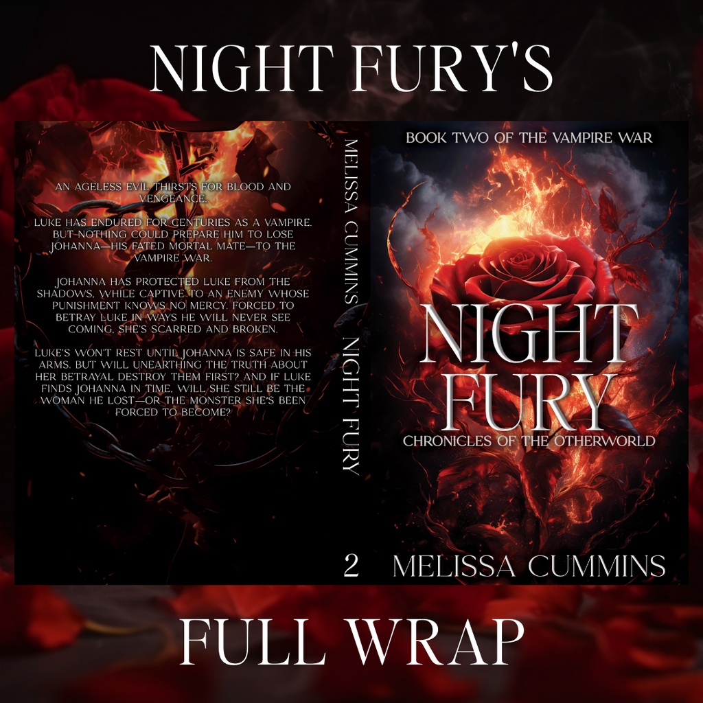Melissa Cummins Night Fury Paperback