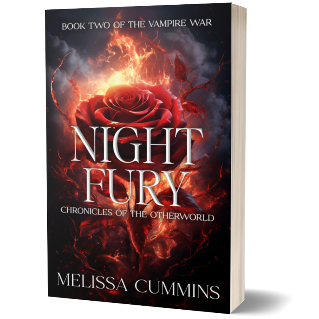 Melissa Cummins Night Fury Paperback
