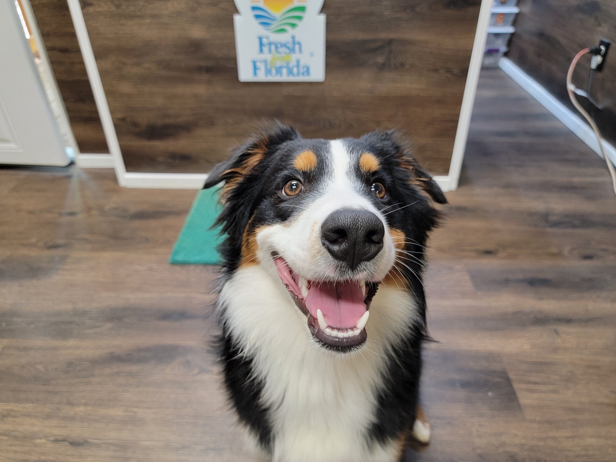 Blackberry Honey Tea