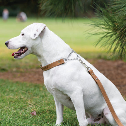 Martingale Khaki Leather Dog Collar
