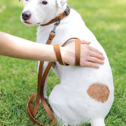 Sport Style Earth Brown Leather Dog Collar