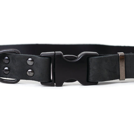 Sport Style Midnight Black Leather Dog Collar