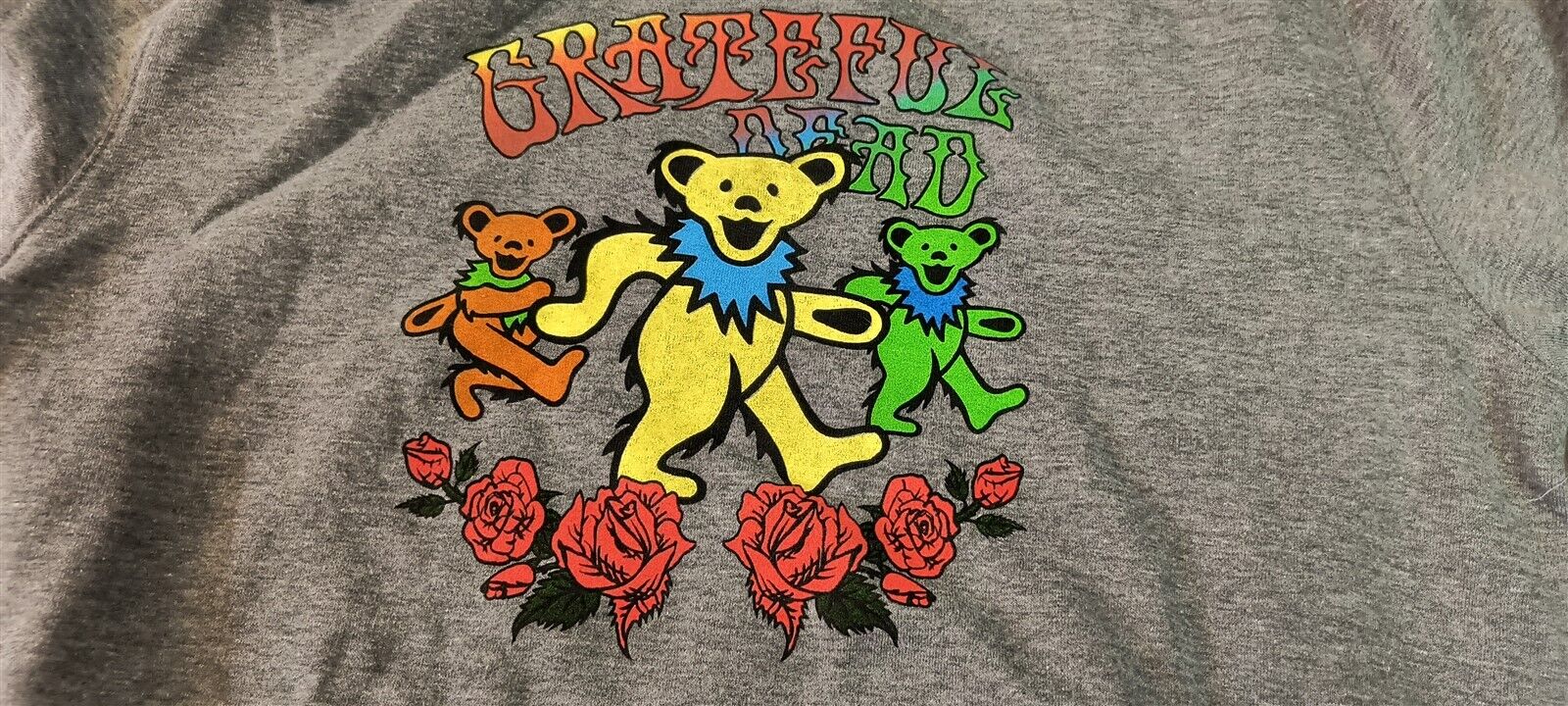 GRATEFUL DEAD - 2020 Gray Long Sleeve Pullover Hoodie ~BRAND NEW~ M L XL