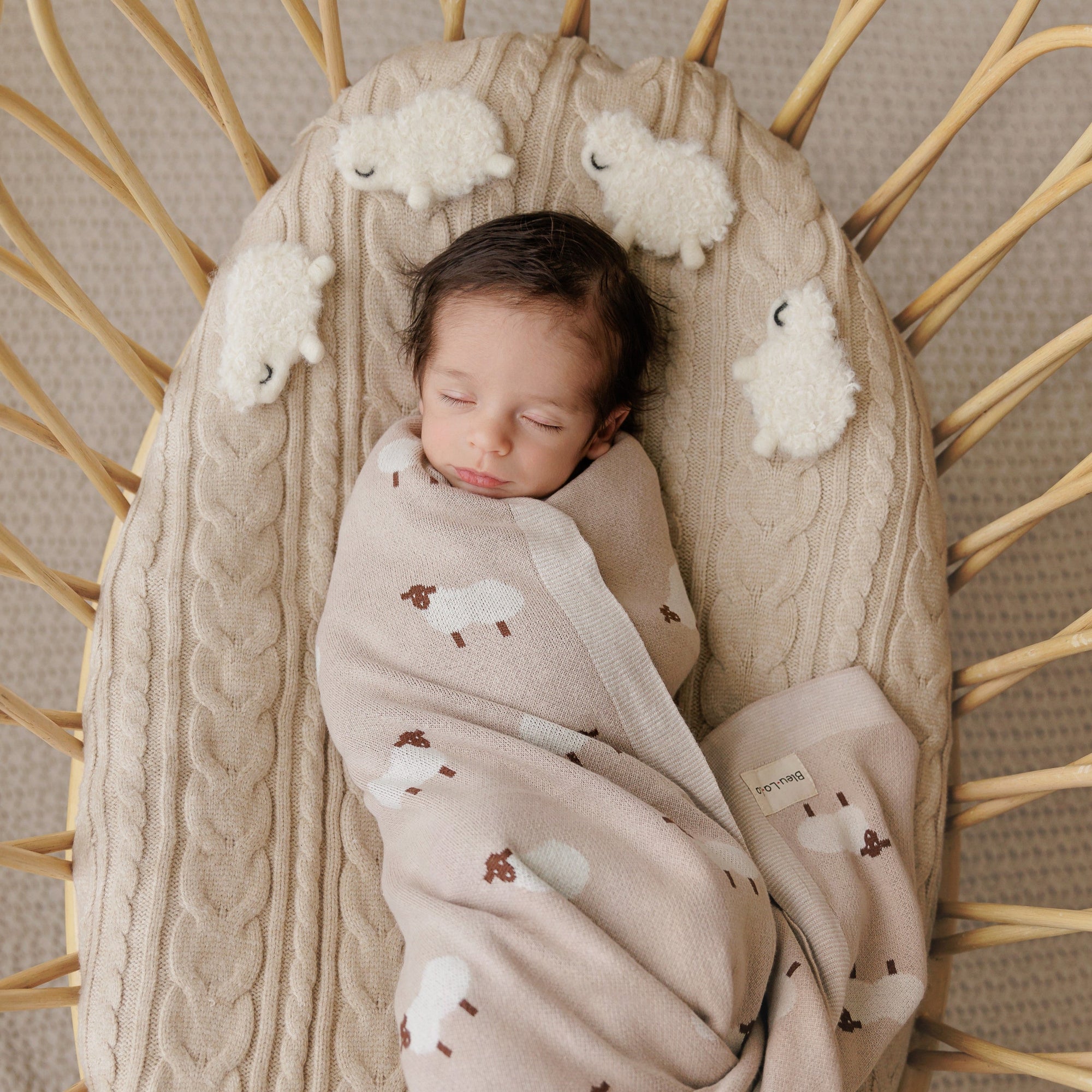 Whimsy Collection - Luxury 100% Cotton Knit Swaddle Baby Blanket