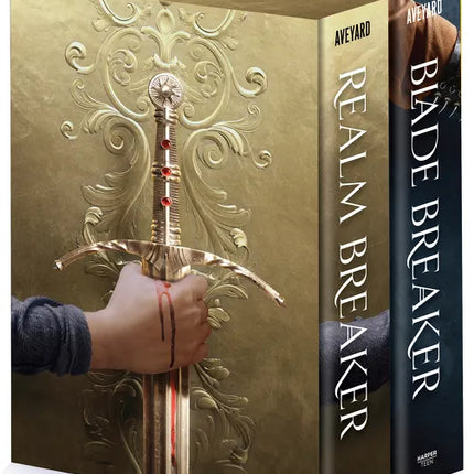 Realm Breaker 2-Book Hardcover Box Set: Realm Breaker, Blade Breaker - Hardcover