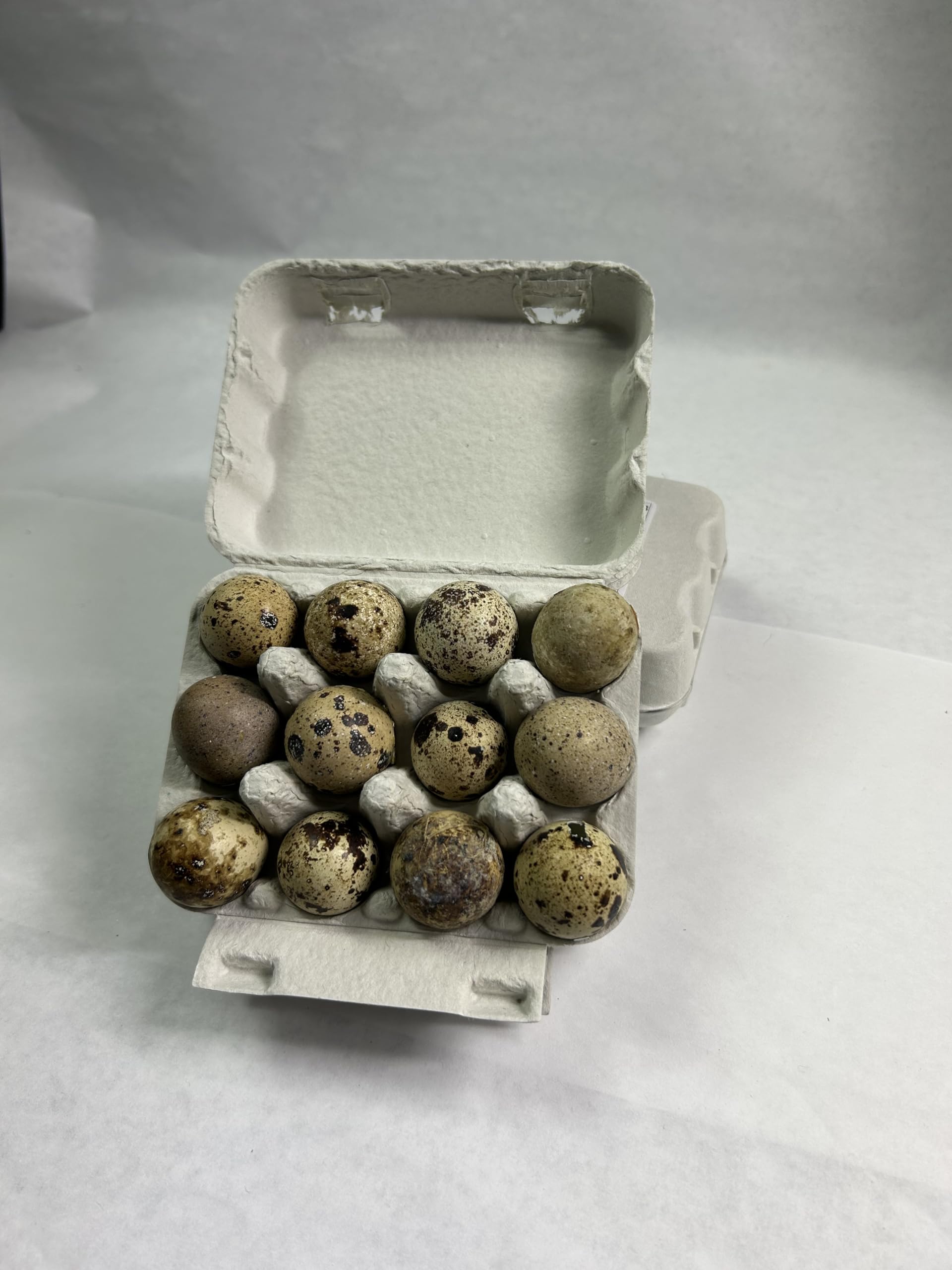 Fresh Quail Eggs Laid in the US