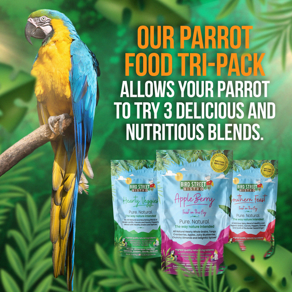 The Tri-Pack Sampler