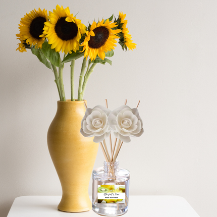 Exotic & Escape Reed Diffuser Collection – Tropical Scents with Mango, Pineapple, Hibiscus & Coconut
