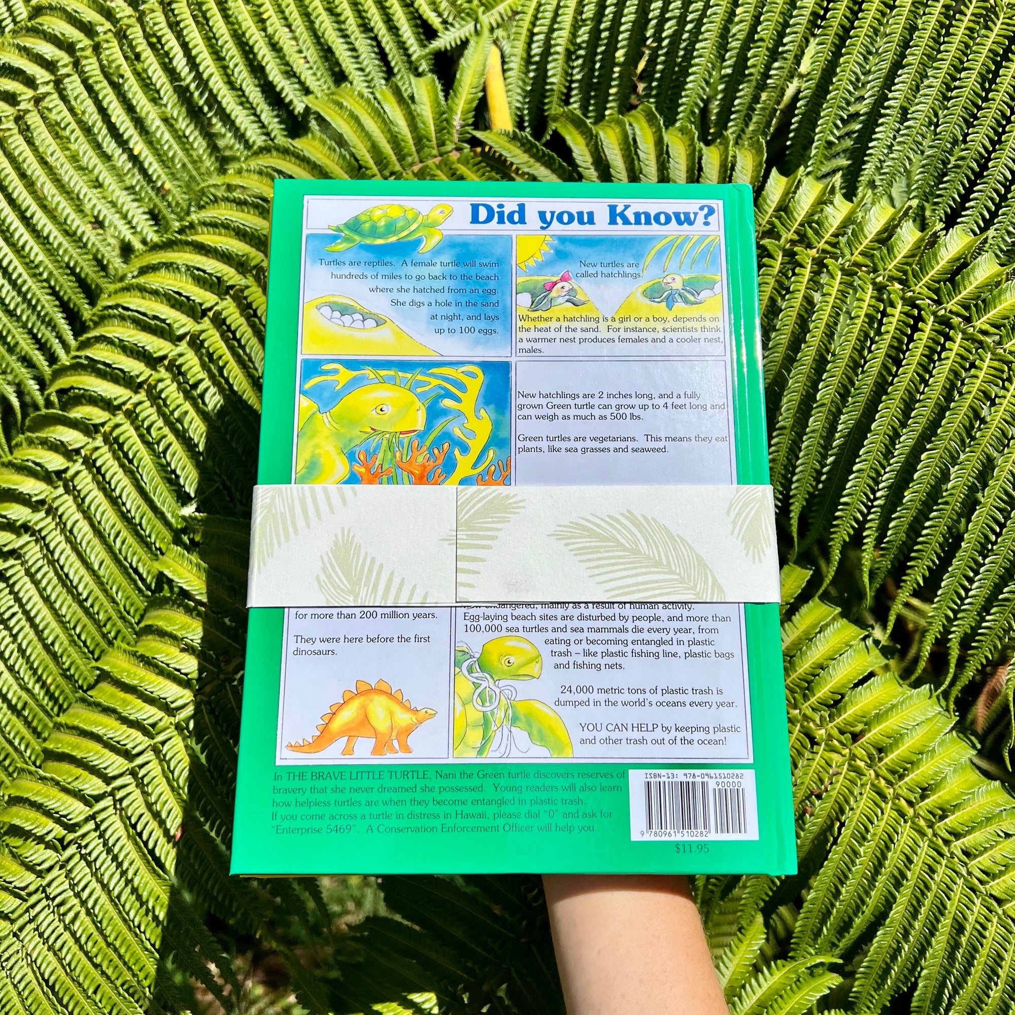 The Classics Collection Set