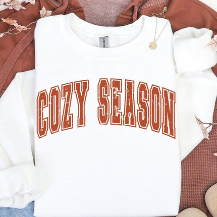 Gildan Retro Cozy Season Sweatshirt