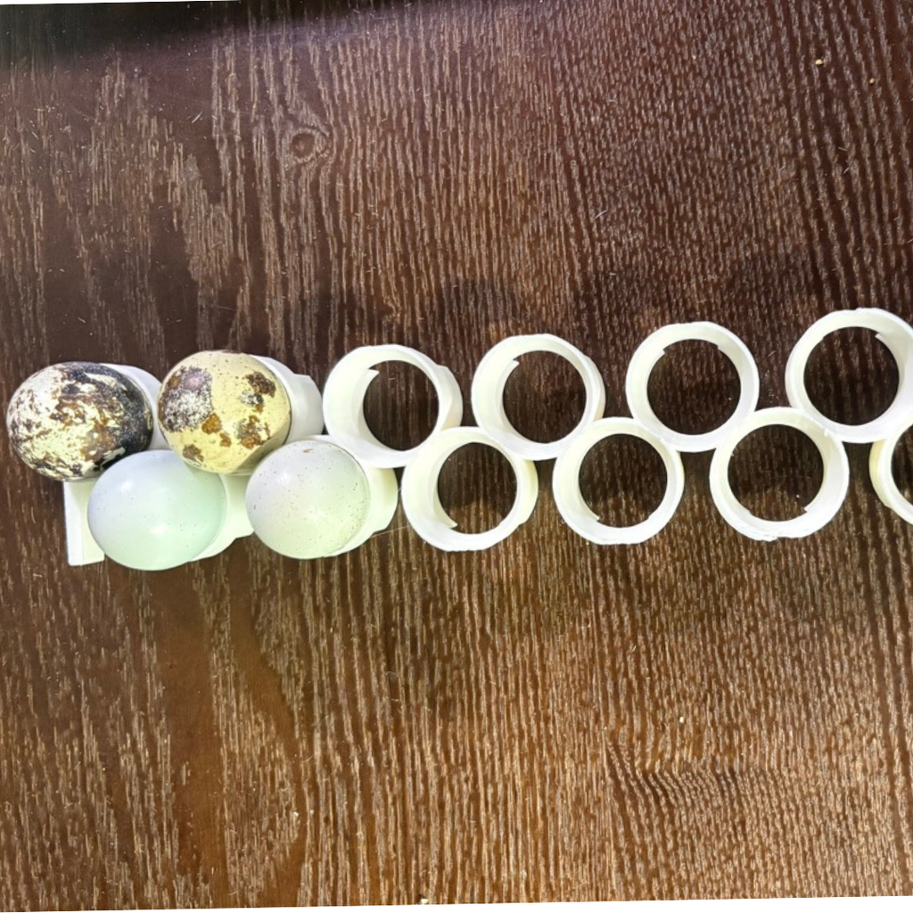 Quail Egg Rails for Cimuka®/Hatching Time® Incubators (CT-Series)