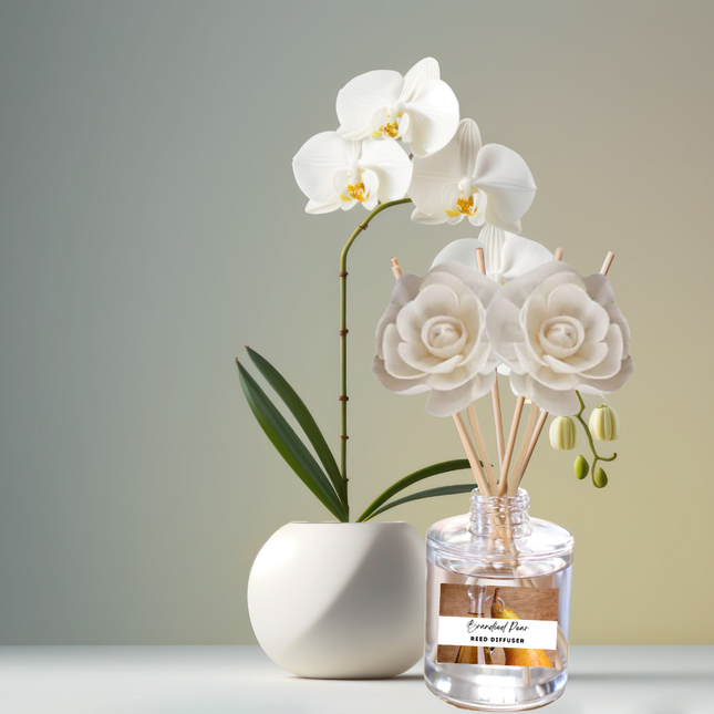Fruity & Juicy Reed Diffuser Collection – Lively Fruit-Inspired Scents with Apple, Cherry, Kiwi & Melon