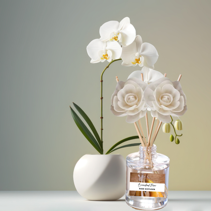 Exotic & Escape Reed Diffuser Collection – Tropical Scents with Mango, Pineapple, Hibiscus & Coconut