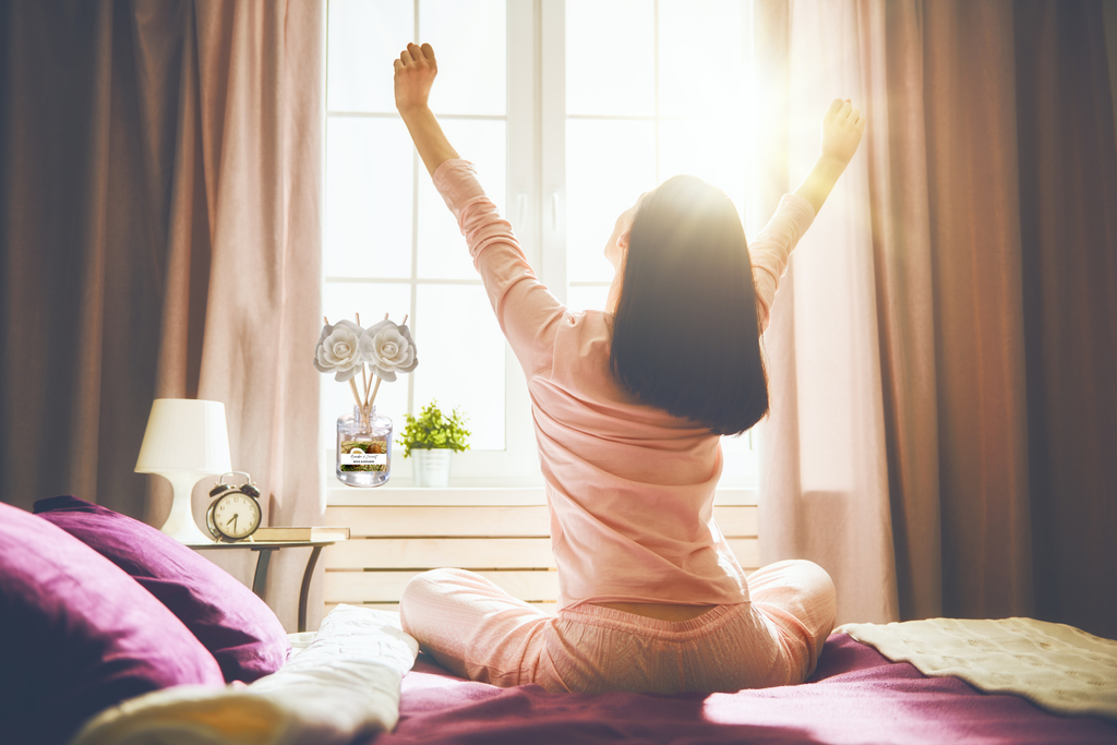 Clean & Fresh Reed Diffuser Collection – Crisp Linen, Cotton & Citrus-Inspired Aromas for a Bright, Airy Home