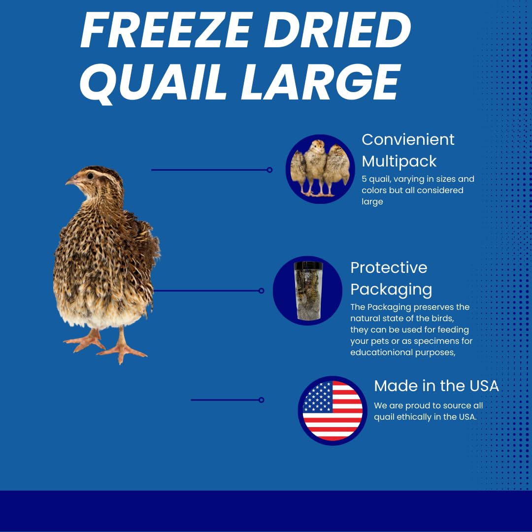 Bird Dog Training Quail - Premium Freeze-Dried Whole Quail for Dogs 5ct, Large (Chick) - Natural Prey Feeding Quality Protein Pet Treats